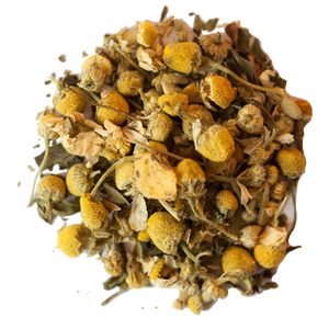 Menthe Fruit de la Passion (Sachets Infusion Pyramidaux)